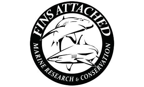 Fins Attached Marine Research & Conservation